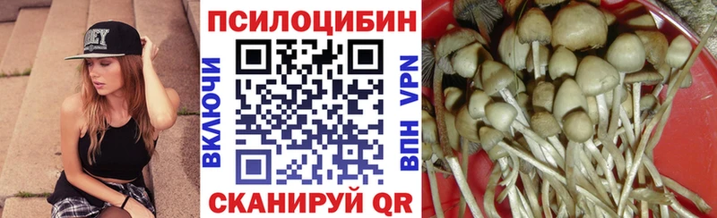 маркетплейс какой сайт  Сафоново  Псилоцибиновые грибы прущие грибы  закладки 