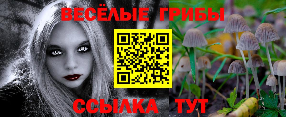 Псилоцибиновые грибы Cubensis  Вход с VPN  Сафоново 