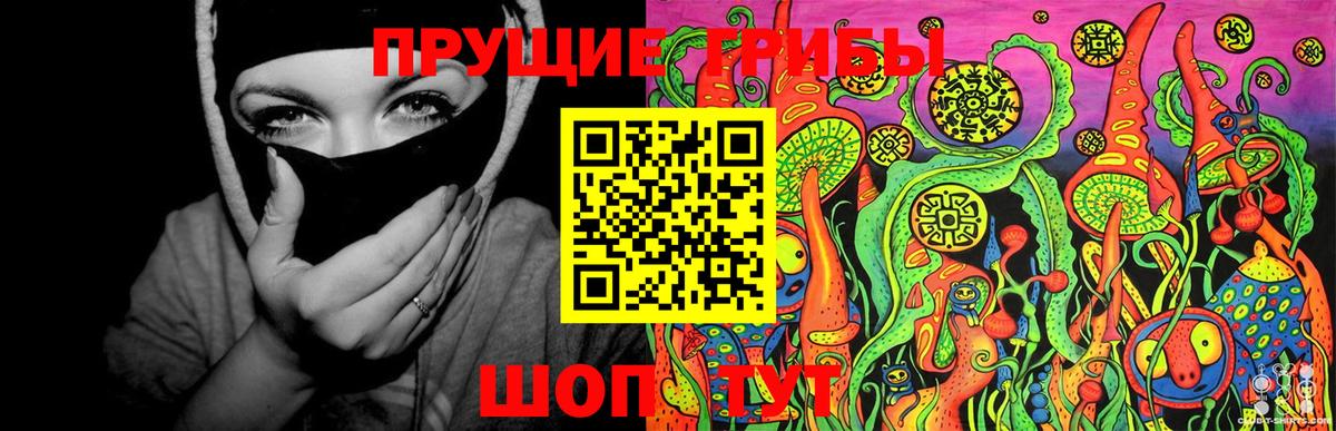 Псилоцибиновые грибы мицелий Сафоново
